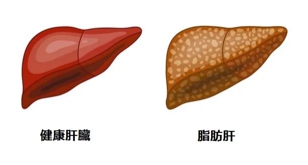 图片 1.jpg