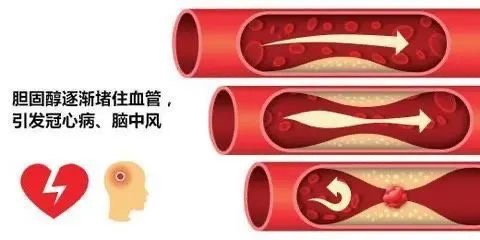 图片 3.jpg