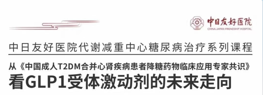 中日友好医院代谢减重中心糖尿病治疗系列课程